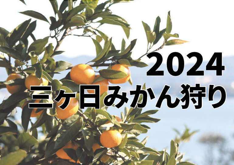 2024年 三ケ日みかん狩り情報